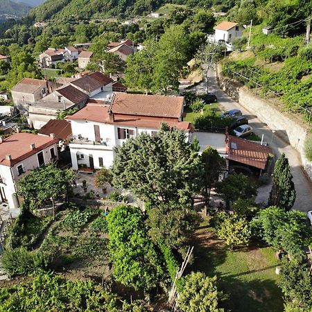 Agriturismo Mare E Monti Guest House Tramonti Ngoại thất bức ảnh