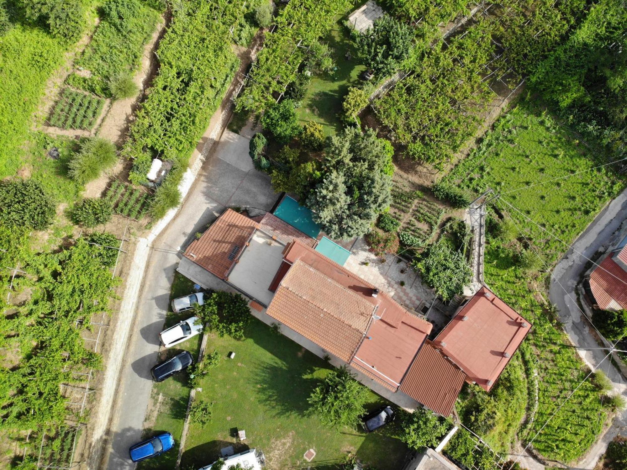 Agriturismo Mare E Monti Guest House Tramonti Ngoại thất bức ảnh